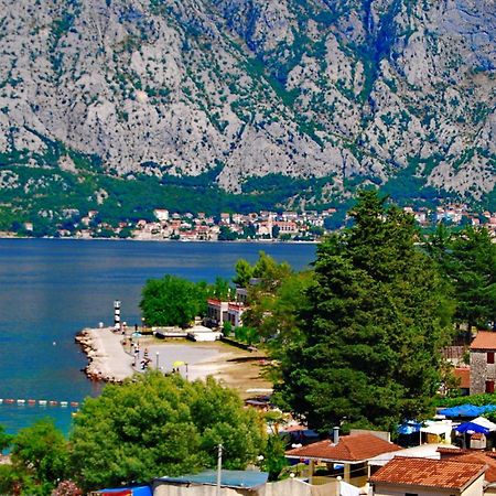 Apartments Scorpio Kotor Buitenkant foto