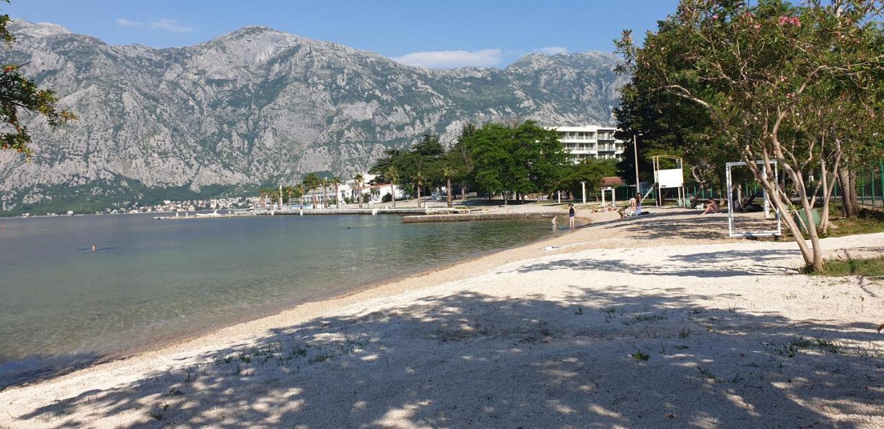 Apartments Scorpio Kotor Buitenkant foto