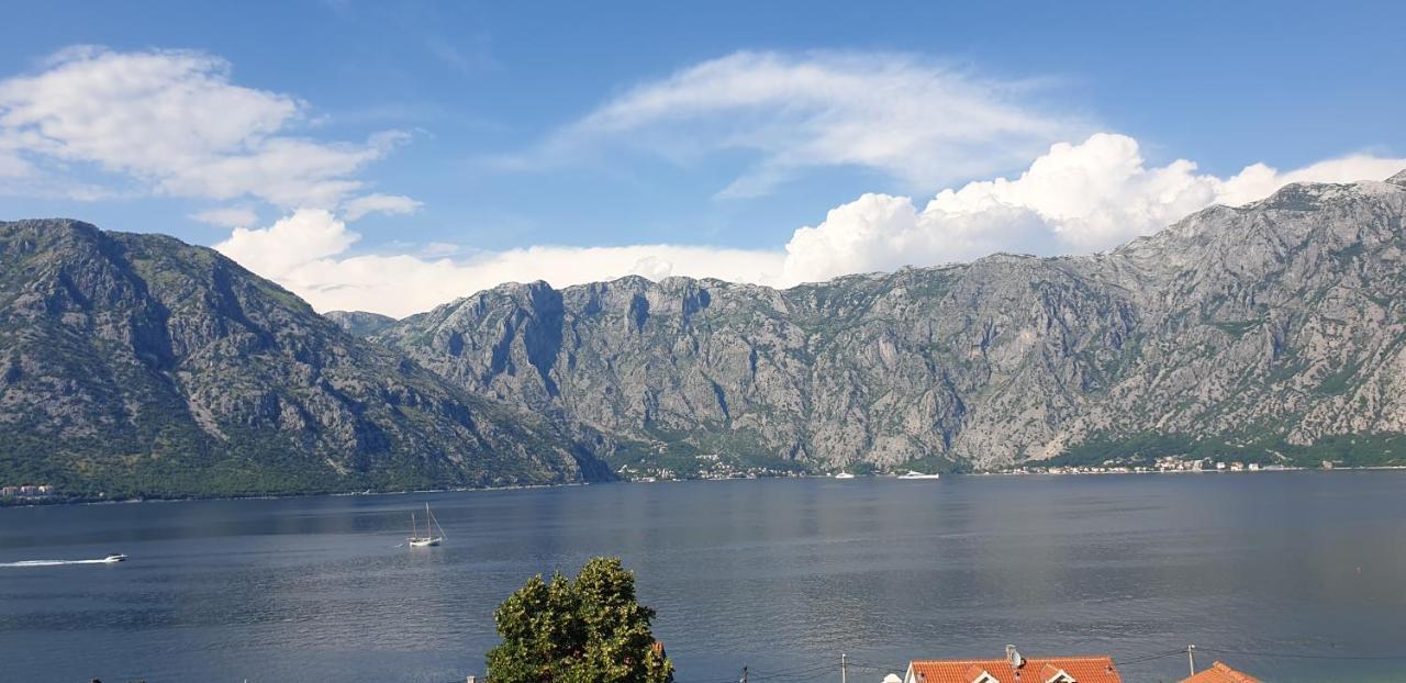 Apartments Scorpio Kotor Buitenkant foto