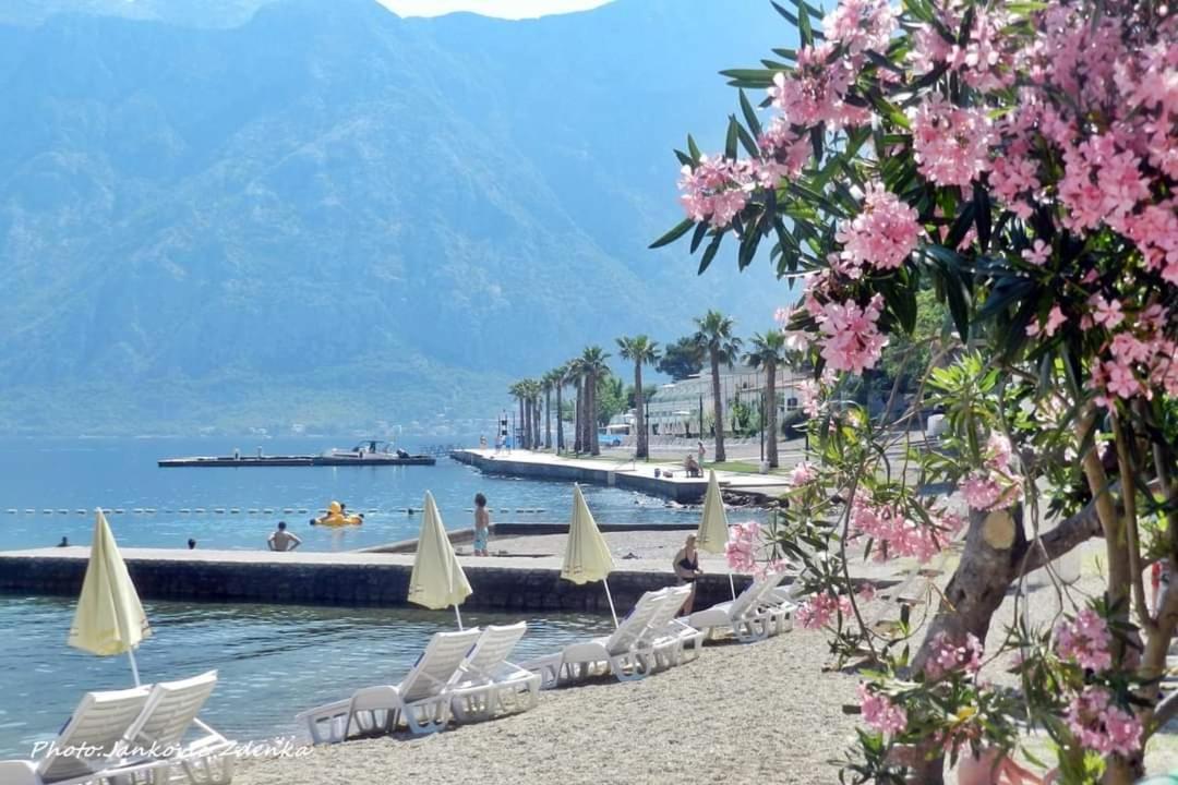 Apartments Scorpio Kotor Buitenkant foto