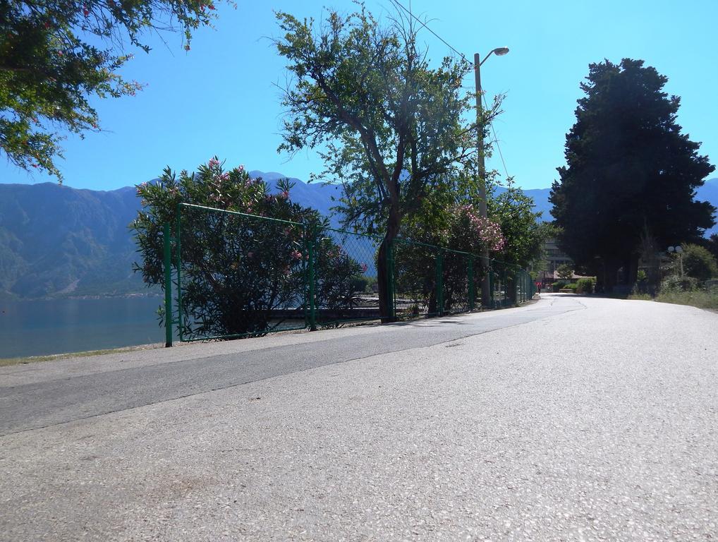 Apartments Scorpio Kotor Buitenkant foto