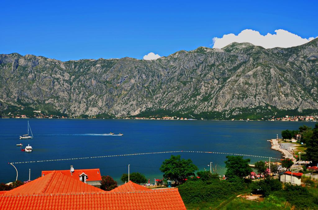 Apartments Scorpio Kotor Kamer foto
